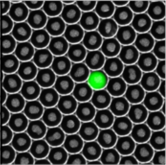 droplet engineering